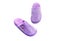 Violet female slippers on a white background