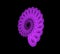 Violet  flower fractal