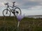 Violet flowers, bike, sky and lake