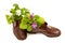 Violet flowers in old boots on white background