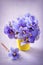 violet flowers (Saintpaulia)
