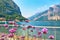 Violet flowers on steep alpine banks of beautiful lake Como with parked boats and yachts near village of Pare, Lombardy