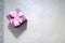 Violet gift beautiful festive cardboard small gift box with a bow on a light gray background.