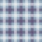 Violet Gingham pattern. Texture from squares for - plaid, tablecloths, clothes, shirts, dresses, paper, bedding, blankets, quilts