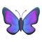 Violet gradient butterfly icon, cartoon style