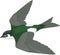 Violet Green Swallow Flying Illustration