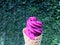 Violet ice cream cone on small green leaves wall background. Violet ice cream made by Jambolan or Jambolan plum