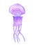 Violet jellyfish ocean and sea water animal isolated on white background. Watercolor hand drawn illustration in cartoon realistic