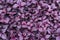 Violet Leaf Background