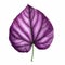 Violet Leaf Illustration: Exotic Realism In Detailed Hand-drawn Art