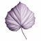 Violet Leaf Vector Drawing: Detailed Monotone Art In Jonathan Wolstenholme Style