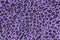 Violet leopard fabric texture