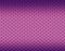 Violet, light and dark, gradient snake skin pattern, long sharp scale