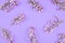 Violet Lilac flower and branch pattern on lilac background