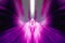 Violet Magenta Angel Abstract Light Background Design Illustration