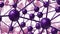 violet Molecular geometric chaos abstract structure. Science technology network connection hi-tech background 3d rendering