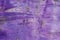 Violet painted creased tissuse paper background texture