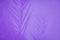 Violet palm tree leaves on the light violet background