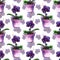 Violet phalaenopsis orchid flower seamless pattern texture