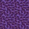 Violet phalaenopsis orchid flower seamless pattern texture