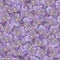 Violet phalaenopsis orchid flower seamless pattern texture