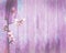 Violet pink wood background spring flowers shabby