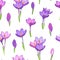 Violet purple crocus flowers seamless pattern