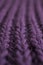 A violet/purple scarf, lines of the pattern in soft focus.