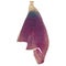 Violet purple tulip flower petal cut out on a white background