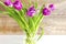 Violet purple tulips colorful bouquet in vase. Beautiful tenderness flowers macro.Spring floral romantic gift card
