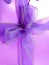 Violet ribbon bow