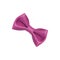 Violet ribbon bow tie isolated