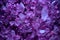 Violet sea salt macro texture