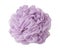 Violet sponge for shower or bath isolated on the white