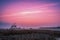 Violet sunrise over mysterious lake