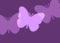 Violet three butterflies for design isolated on purple background