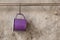 Violet tin cup hanging on stainless rail on cement wall background
