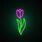 Violet tulip flower neon sign. Bright light spring blooming flower illustration.