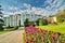 The violet tulip flowers in front of Kaskady hotel in Sielnica