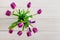 Violet tulips bouquet on white wood background, top view