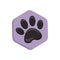 Violet vector hexagon shape icon with the animals. Cat paw icons isolated. animal footprint purple hexagonal