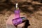 Violet vials with anti-aging serum on stone, on fallen dry pine tree needles, with sunlight and coniferous trees shadow