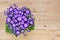 Violet and white flowers over wooden background