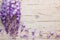 Violet wisteria flowers on wooden background