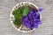 Violets bouquet and moss in ceramic bowl