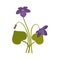 Violets bunch isolated on white close up vector picture