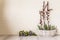 Violets on wooden background