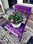 Violett flower chair