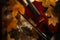 Violin and autumn leaves across a water drops on glass.