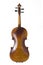Violin Back